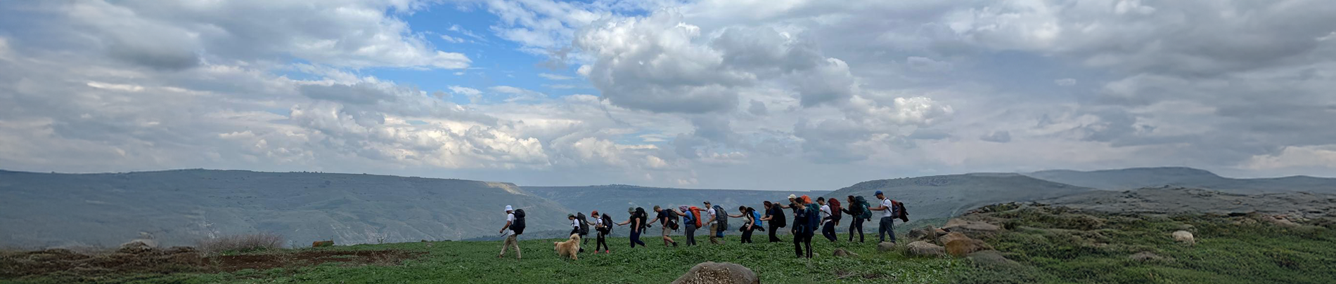 באנר חצי שנתיות